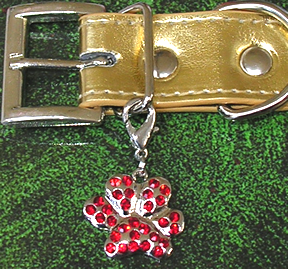 Collar charm paw siam red one inch