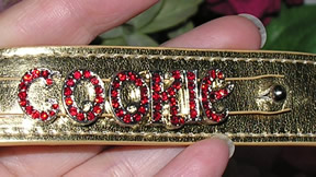 cookie script letters 