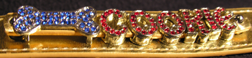 Bone collar charm and script letters on metallic collar