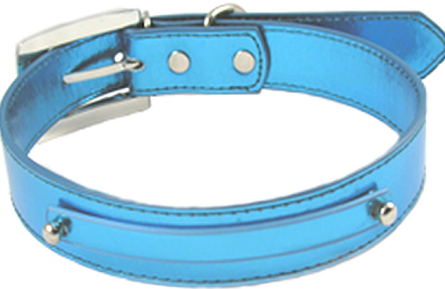 Collar Personalized smooth metallic finish for a giant dog DogCatCreations exclusive design Cerulean blue USD 39.99